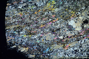 Cross Polarized, S85644