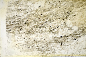 Plane Polarized, S85644