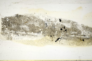 Plane Polarized, S85646