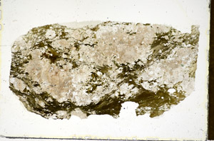 Plane Polarized, S85652
