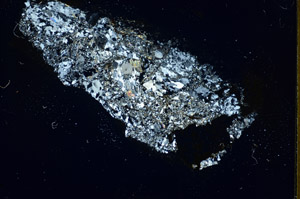 Cross Polarized, S85653