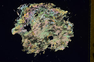 Cross Polarized, S85654
