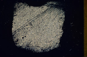 Cross Polarized, S85655
