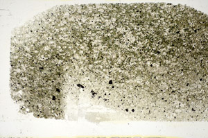 Plane Polarized, S85656