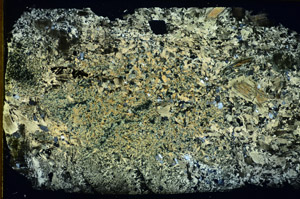 Cross Polarized, S85657