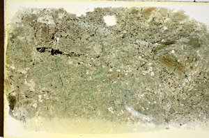 Plane Polarized, S85657