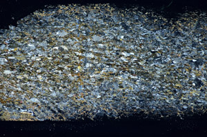 Cross Polarized, S85659