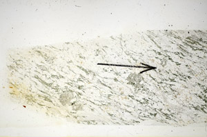 Plane Polarized, S85663