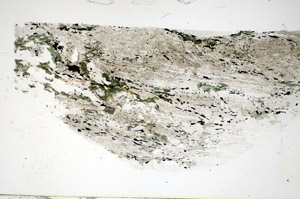Plane Polarized, S85665
