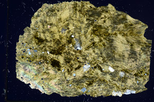 Cross Polarized, S85667