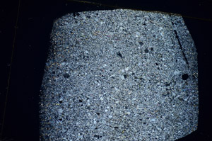 Cross Polarized, S85679