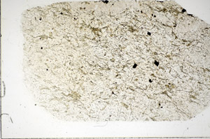 Plane Polarized, S85678