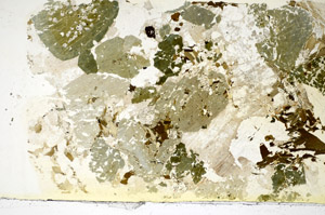 Plane Polarized, S85685