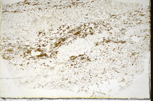 Plane Polarized, S85690