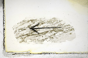 Plane Polarized, S85694