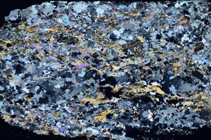 Cross Polarized, S85695