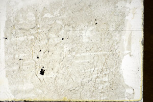 Plane Polarized, S85702