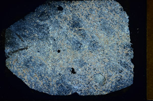 Cross Polarized, S85703