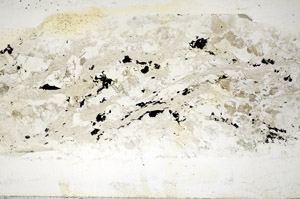 Plane Polarized, S85709