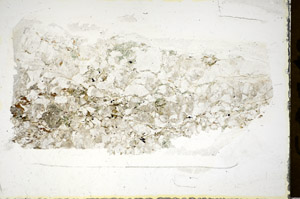 Plane Polarized, S85713