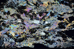 Cross Polarized, S85715