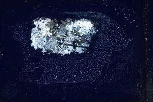Cross Polarized, S85722