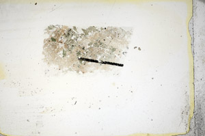 Plane Polarized, S85722