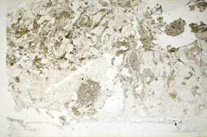 Plane Polarized, S85724