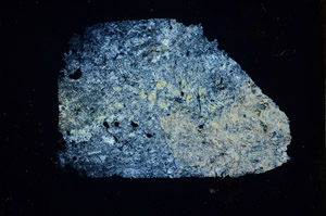 Cross Polarized, S85732