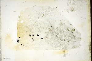 Plane Polarized, S85732