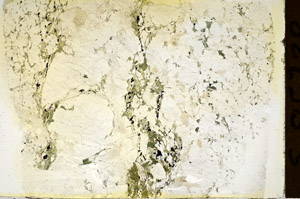 Plane Polarized, S85738