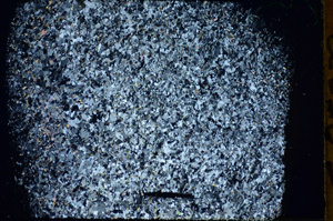 Cross Polarized, S85739