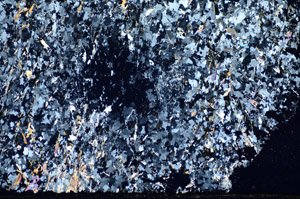 Cross Polarized, S85743
