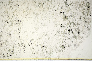 Plane Polarized, S85743