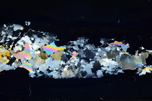 Cross Polarized, S85744