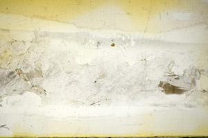Plane Polarized, S85744