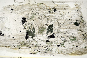 Plane Polarized, S85745