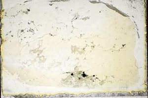 Plane Polarized, S85747