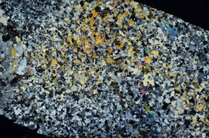 Cross Polarized, S85750