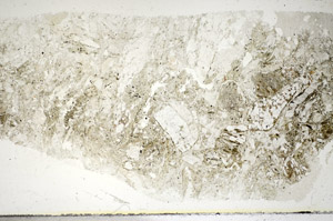Plane Polarized, S85756