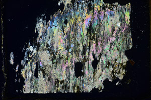 Cross Polarized, S85766