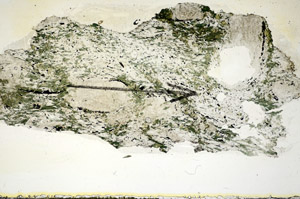 Plane Polarized, S85768