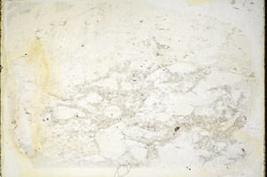Plane Polarized, S85769