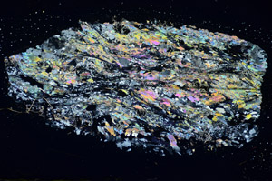 Cross Polarized, S85772