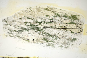 Plane Polarized, S85772