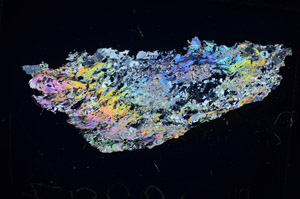 Cross Polarized, S85778