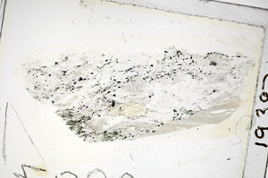 Plane Polarized, S85778