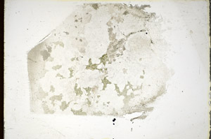 Plane Polarized, S85779
