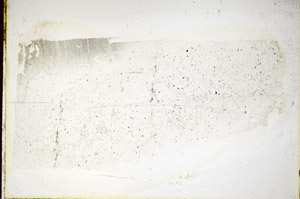 Plane Polarized, S85786
