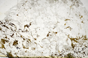 Plane Polarized, S85791